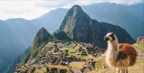 Día 5: Machu Picchu